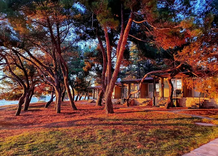 Hotel mit Aussicht: Family Bungalow Pineta