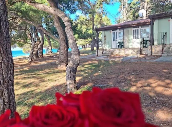 Hotel mit Aussicht: Family Bungalow Pineta